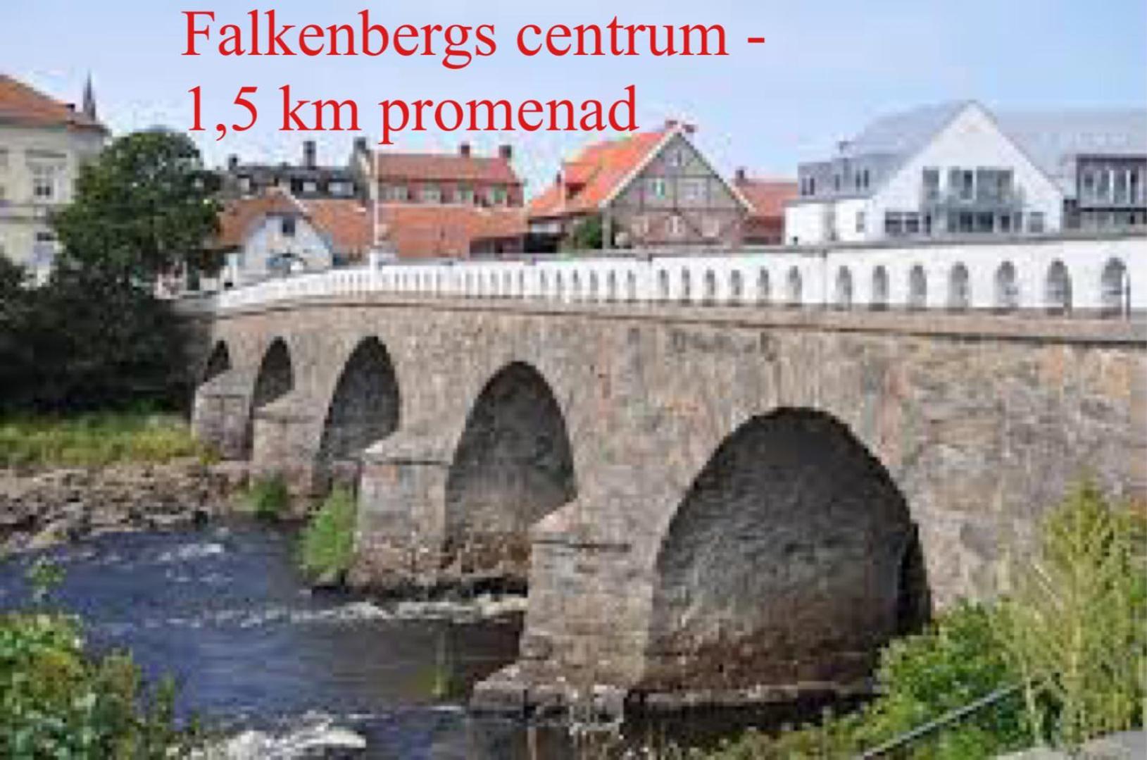300 M Till Skrea Strand Och Naera Till Centrum Daire Falkenberg Dış mekan fotoğraf